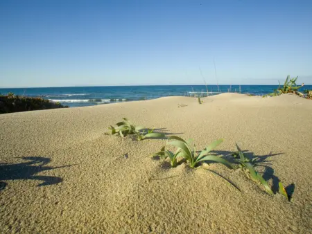 Ammentos, Villa 3 personnes à Marina di Sorso - Photo 41