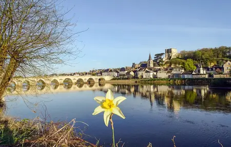 Location Maison 12 personnes à Montrichard - Photo 28