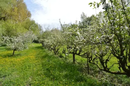 Domaine Les Ziettes, Maison à Saint-Omer près du lac et forêt - Photo 26