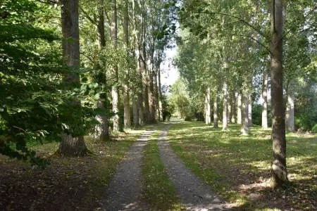 Domaine Les Ziettes, Maison à Saint-Omer près du lac et forêt - Photo 28