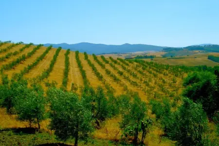 Ciclamino, Retraite familiale Peccioli - Photo 26