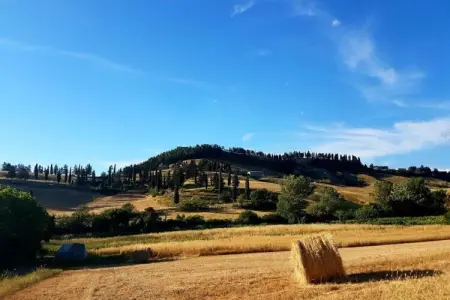 Ciclamino, Retraite familiale Peccioli - Photo 28