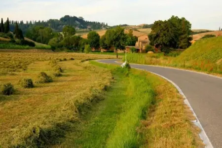 Ciclamino, Retraite familiale Peccioli - Photo 33