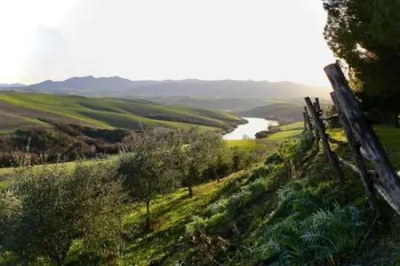 Ciclamino, Retraite familiale Peccioli - Photo 35