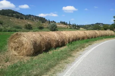 Ciclamino, Retraite familiale Peccioli - Photo 39