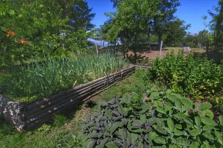 Stella, Ferme rustique en forêt - Photo 29