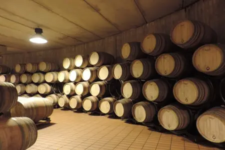Pino, Ferme pittoresque avec piscine - Photo 32