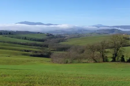 Pino, Ferme pittoresque avec piscine - Photo 36