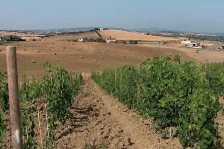 Era una Volta, Charmante ferme toscane - Photo 37