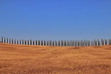 Era una Volta, Charmante ferme toscane - Photo 38