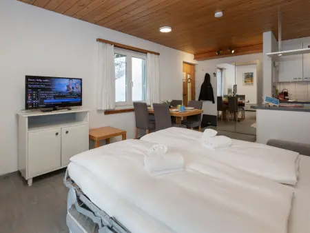 Chalet Almis-Bödeli, Appartement 4 personnes à Grindelwald - Photo 9