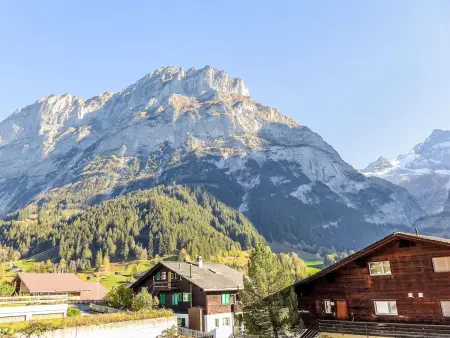 Chalet Almis-Bödeli, Appartement 4 personnes à Grindelwald - Photo 20