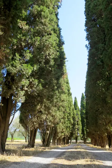 Il Podere del Lago, Maison 2 personnes à Lago di Bolsena - Photo 17