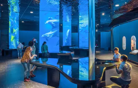 Location Maison 10 personnes à Gonneville le Theil - Photo 8