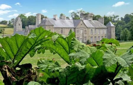 Location Maison 10 personnes à Gonneville le Theil - Photo 11