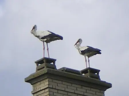 Maison en pierre près d'Utah Beach, Gite 4 personnes à Sainte Marie du Mont - Photo 11