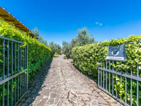 Poggio de'Galli, Gite 5 personnes à Impruneta - Photo 60
