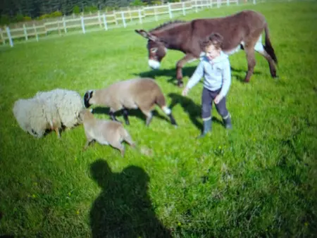Cabane avec jacuzzi privatif et accès à ferme pédagogique - Photo 10