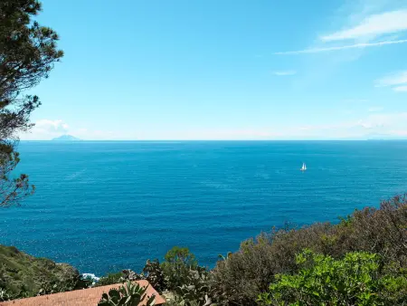 Oasis 1, Appartement 5 personnes à Capoliveri - Photo 22