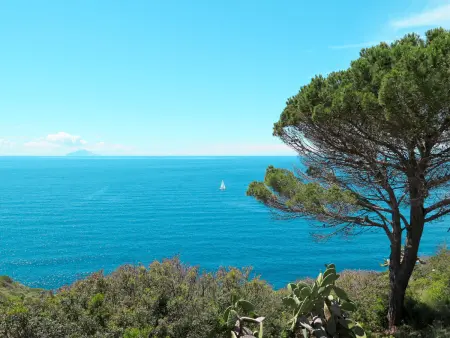 Oasis 1, Appartement 5 personnes à Capoliveri - Photo 24