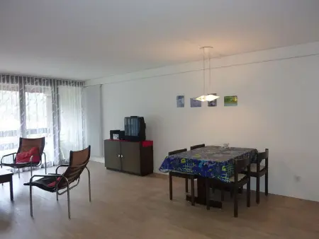 Neuschwändi 5, Appartement 4 personnes à Engelberg - Photo 4