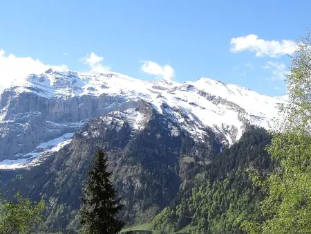 Neuschwändi 5, Appartement 4 personnes à Engelberg - Photo 7