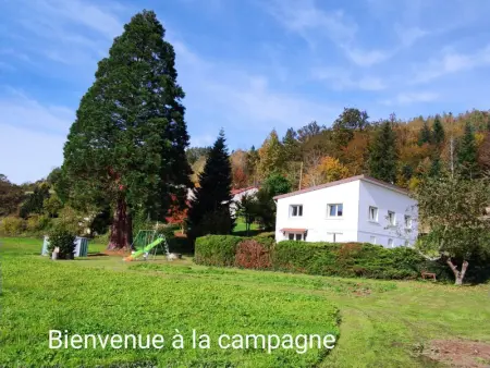 Maison spacieuse avec SPA, nature & calme dans les Vosges - Photo 25