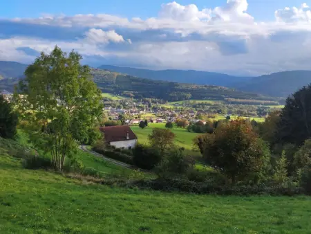 Maison spacieuse avec SPA, nature & calme dans les Vosges - Photo 28