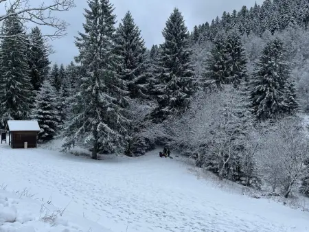 Maison spacieuse avec SPA, nature & calme dans les Vosges - Photo 33