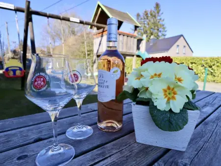 La Pomme de Pin, Maison 15 personnes à Fraiture - Photo 8