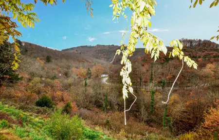 Location Maison 5 personnes à Mazamet - Photo 8