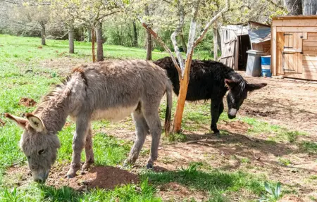 Location Maison 6 personnes à Frayssinet le Gélat - Photo 13
