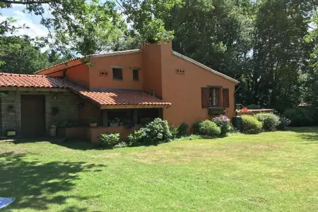 Streekbossen, Maison de vacances confortable à Tessenderlo proche forêt - Photo 8
