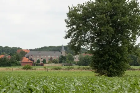 Streekbossen, Maison de vacances confortable à Tessenderlo proche forêt - Photo 31