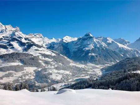 Sörenweg 4, Appartement 2 personnes à Engelberg - Photo 6