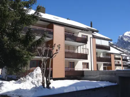 Blumenweg 6, Appartement 4 personnes à Engelberg - Photo 1