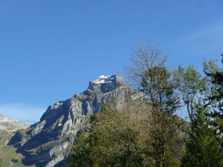 Blumenweg 6, Appartement 4 personnes à Engelberg - Photo 9