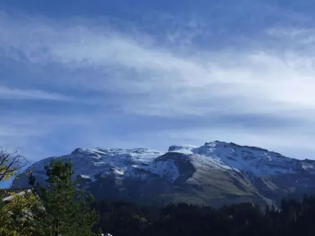 Blumenweg 6, Appartement 4 personnes à Engelberg - Photo 10