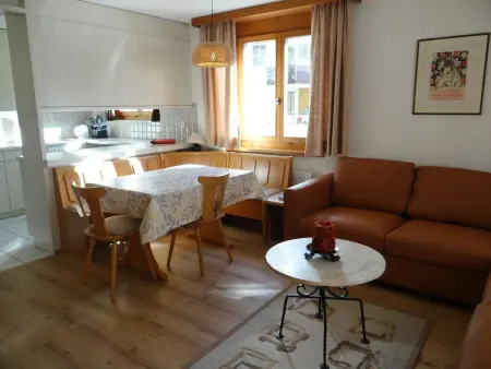 Blumenweg 6, Appartement 4 personnes à Engelberg - Photo 13