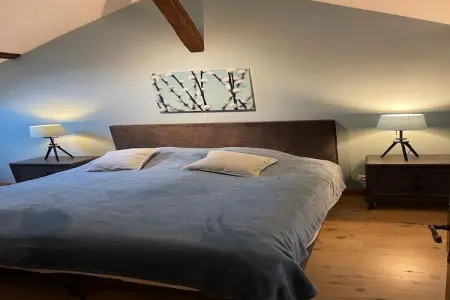 Entre le Gers et les Pyrénées XII, Maison de vacances luxueuse avec piscine privée - Photo 6