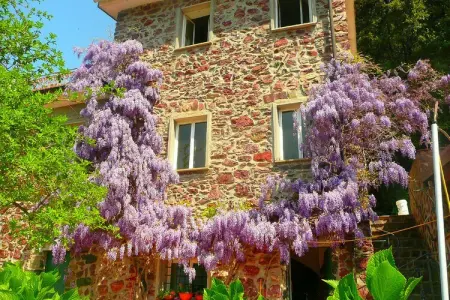 Gromoletta, Retraite à flanc de colline près des 5 Terre - Photo 5