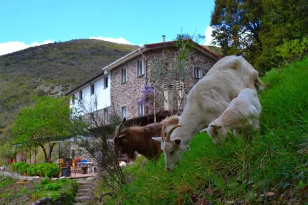 Gromoletta, Retraite à flanc de colline près des 5 Terre - Photo 18