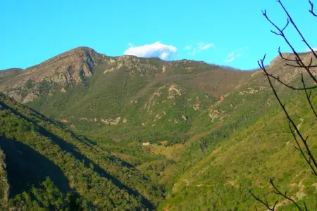 Gromoletta, Retraite à flanc de colline près des 5 Terre - Photo 19