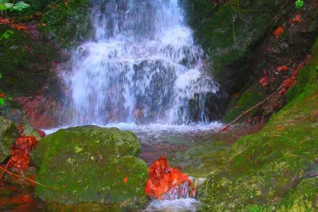 Gromoletta, Retraite à flanc de colline près des 5 Terre - Photo 26