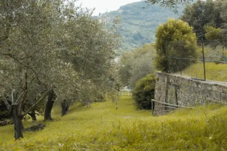 Gromoletta, Retraite à flanc de colline près des 5 Terre - Photo 32