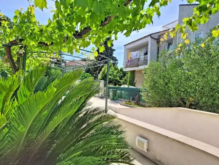 Bila Vila, Maison 8 personnes à Zadar - Photo 4