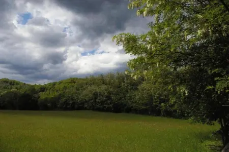 Argilla 3, Maison en Toscane avec Étang Naturel - Photo 26