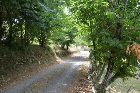 Argilla 3, Maison en Toscane avec Étang Naturel - Photo 31