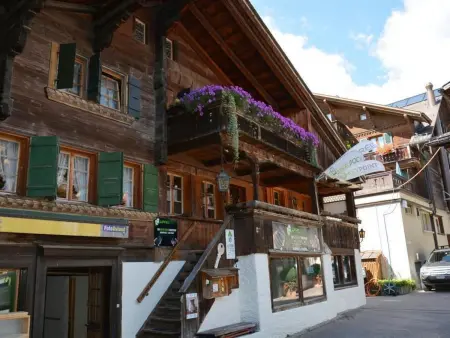 Le Vieux Chalet, Appartement 3 personnes à Gstaad - Photo 1