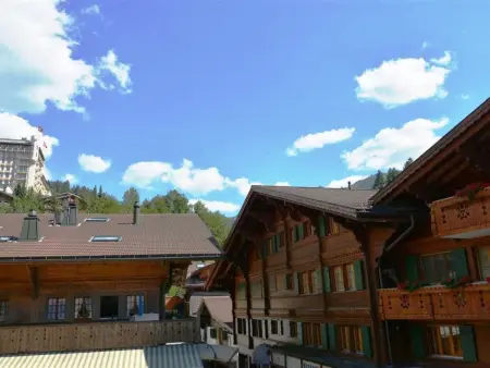 Le Vieux Chalet, Appartement 3 personnes à Gstaad - Photo 3